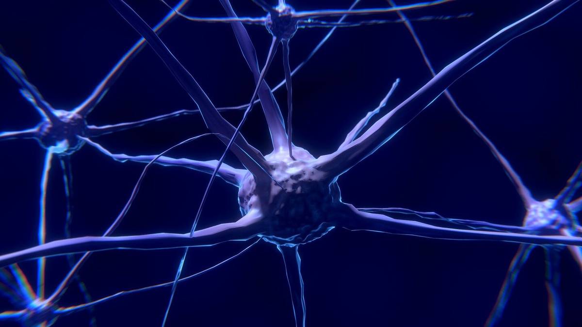 Naukowcy nauczyli się sterować zachowaniem neuronów
